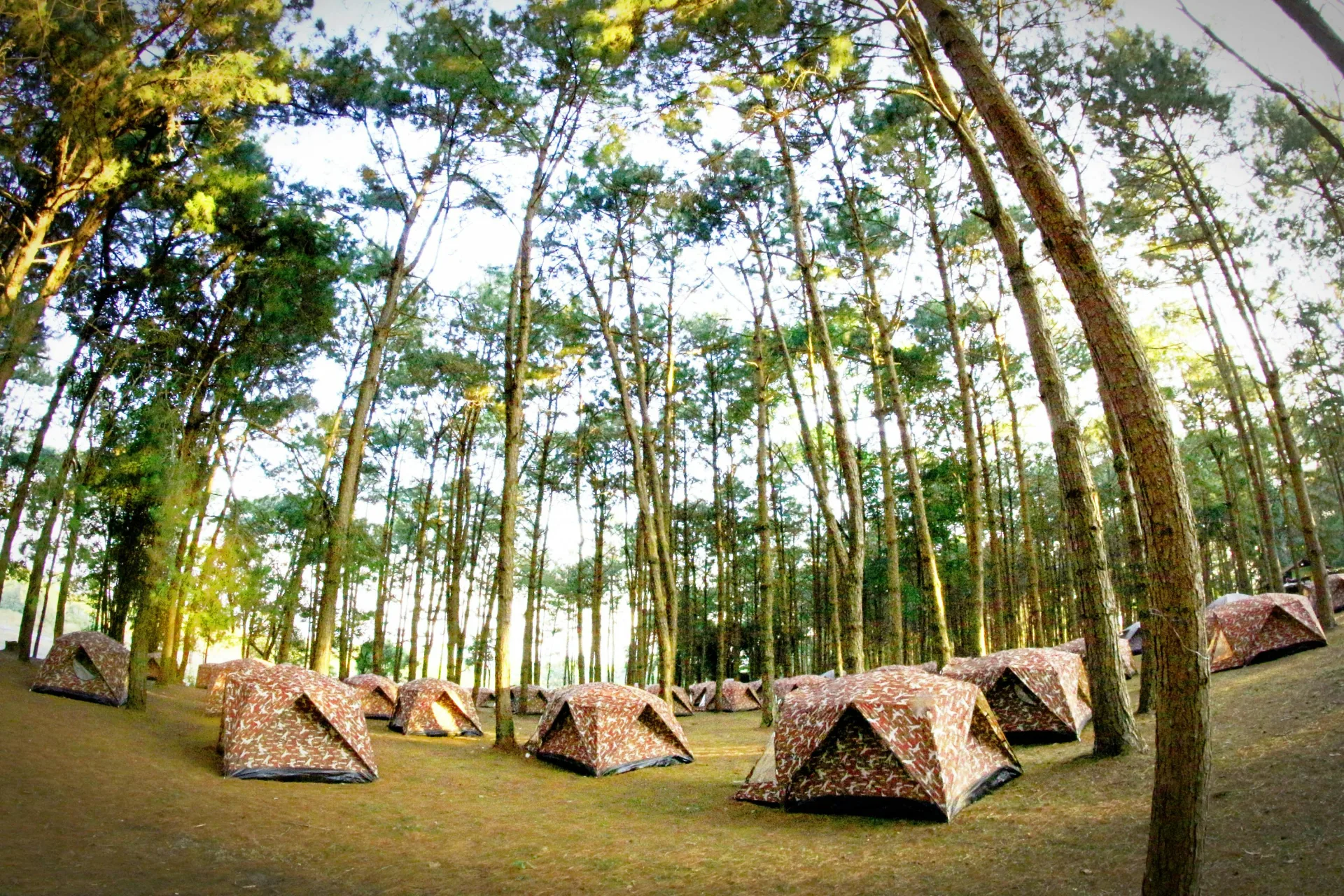 How Much Does a Good Tent Cost? Rent vs Buy for NYC Weekend Campers