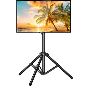 Flat Screen Monitor