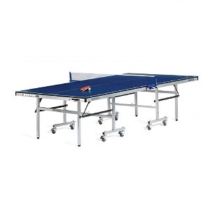 Ping Pong Table