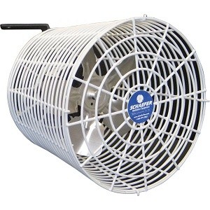 Tent Fan