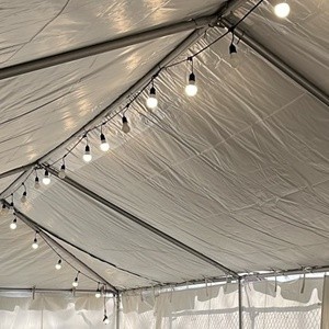 String Light – 48′ – 24 lights